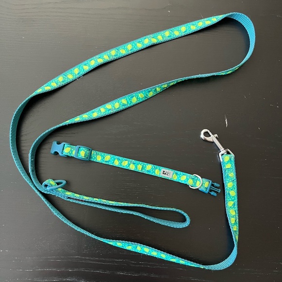 NWOT Small dog collar and leash set - Picture 2 of 5